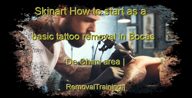 Skinart How to start as a basic tattoo removal in Bocas De Chimi area | RemovalTraining | RemovalClasses | SkinartTraining-Colombia